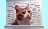 Cat Meme Mastery: Your Guide to Feline Internet Fame