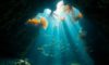 Belize Diving: Unveil Hidden Underwater Treasures Beyond Blue Hole