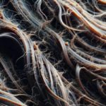 Reversing Heat Damage: Top Strategies for Effective Repair
