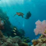 Belize Barrier Reef: Dive and Snorkel Paradise in 2025
