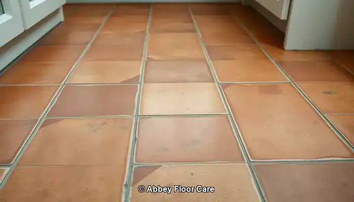 Identifying the Causes of Quick Dirt Build-Up on Terracotta Floors
