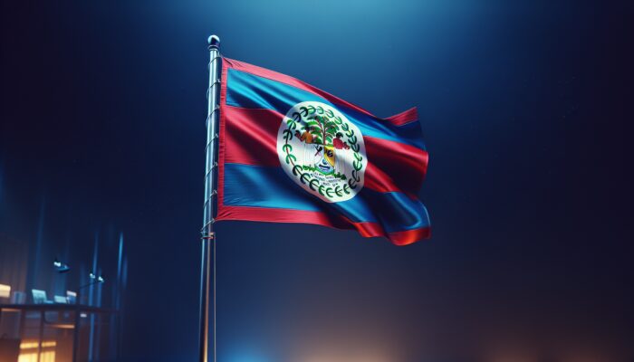 Belize flag on a sturdy pole, flying freely, well-lit at night, positioned respectfully indoors.
